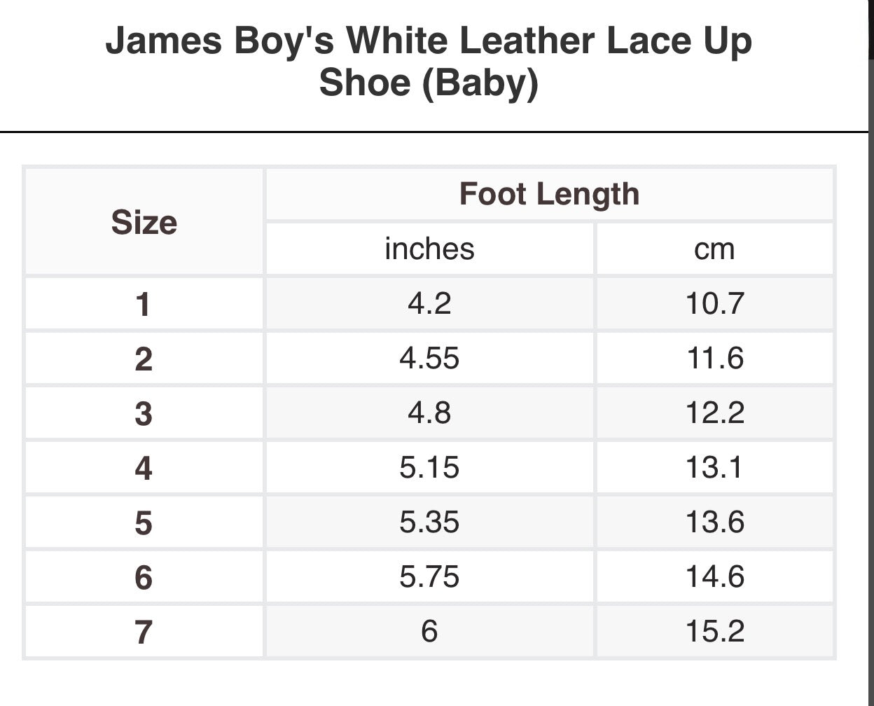 James Lace Up Shoe