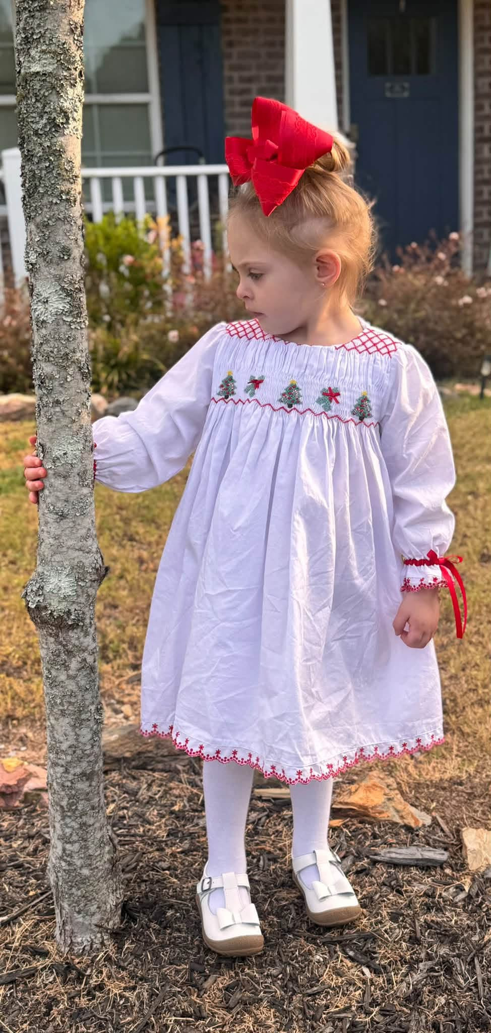 RTS Holiday Heirloom Girl Dress