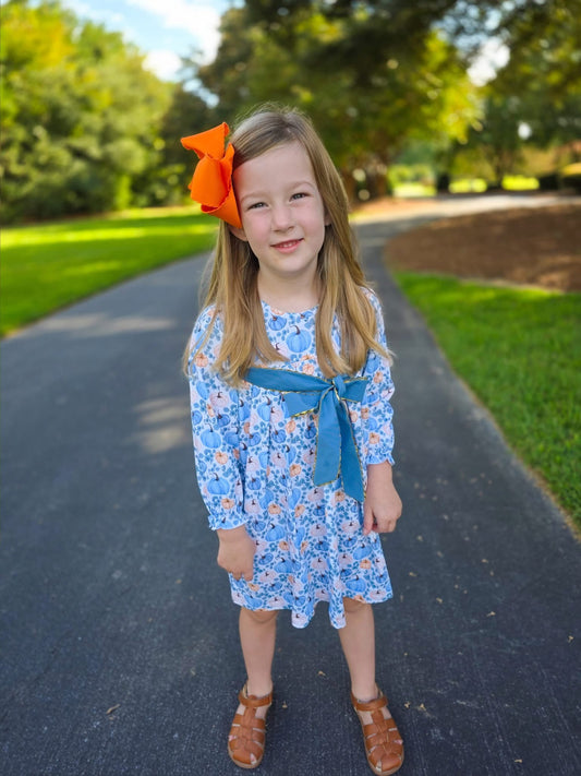 RTS Precious Pumpkins Girl Dress